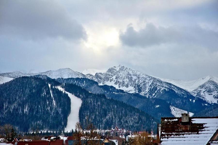 Kominkowa Willa Zakopane Bagian luar foto
